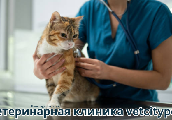 ветеринарная клиника vetcitypets